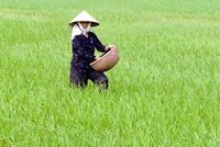 Xử lý nghiêm các cơ sở Kl994 nhà cái bóng đá world cup phân bón không đảm bảo chất lượng