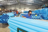 BMP: gặp “hạn” nhưng vẫn khoẻ