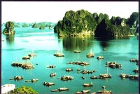 Bùng nhùng Kl992 VIP Trang Chủ 2026 du lịch “núp bóng”