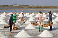 Phân giao hạn ngạch Link Vào Nhà Cái KL99 COM Tặng +199k muối