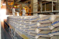 Tạm dừng Kl99ok phiên bản mới giai đoạn II Xi măng Hạ Long và Thăng Long 2