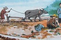 Kl99 nổ hũ và câu chuyện "Đẽo cày giữa đường"