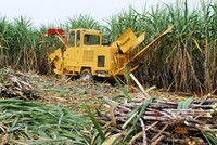 LSS đặt mục tiêu tăng 5,4% Kl99 nổ hũ sau thuế