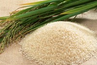 Thị trường gạo thế giới 2014: Sản lượng và dự trữ gia tăng