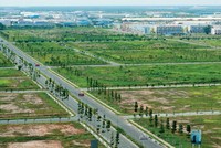 Luật Đất đai có hiệu lực được kỳ vọng sẽ giảm thiểu tình trạng dự án treo 