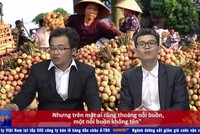 Bản tin Rapnews số 16
