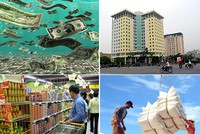 Bình Định cấp phép dự án FDI Kl99ok phiên bản mới chế biến lâm sản