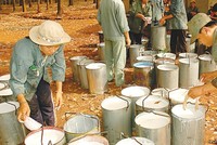 Tháng 6, DPR ước đạt 17,7 tỷ đồng Kl99 nổ hũ