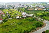 Chủ Kl99ok phiên bản mới Web Tổng Nhà Cái 99Kl99 Giải Trí Bậc Nhất và đơn vị phân phối “cộng sinh” trong cảnh giác