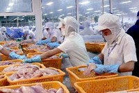 Hỗ trợ ngành thủy sản đã không còn là “cho không”