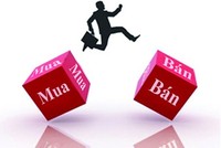 6 tháng, Quản lý quỹ Việt Cát lỗ 332 triệu đồng