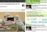 24H Kl99ok phiên bản mới chiến lược vào haivl