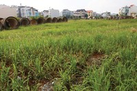 Nhiều lô đất mua thời sốt sình sịch, giờ muốn tống đi cho nhẹ nợ cũng không dễ - Ảnh minh họa: Lê Toàn