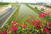 Quốc lộ 1A nối TP. HCM - Bình Chánh - Long An