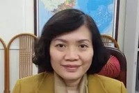 Bà Lê Thị Minh Thủy, Vụ trưởng Vụ Thống kê thương mại và dịch vụ, Tổng cục Thống kê (Bộ Kế hoạch và Kl99ok phiên bản mới)