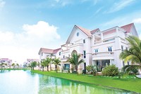 Link Vào Nhà Cái KL99 COM Tặng +199k, Web Tổng Nhà Cái 99Kl99 Giải Trí Bậc Nhất, dệt may... sẽ là những ngành thu hút dòng tiền cao