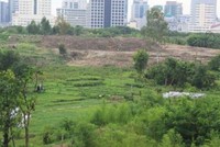 Một lô đất nông nghiệp trên địa bàn quận Nam Từ Liêm 