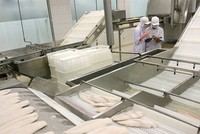 Kl992 Tham Gia Ngay lao động đang xa rời Kl993 Đăng nhập Giải trí