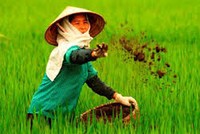 Ảnh Internet