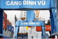 KCN Đình Vũ (Hải Phòng) đang là một trong những địa điểm hấp dẫn các nhà Kl99ok phiên bản mới Nhật bản (Ảnh: Đức Thanh).