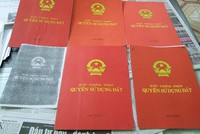 Việc lừa đảo chỉ có thể diễn ra trên thị trường tự do, khi người mua bán thực hiện “tay bo”

