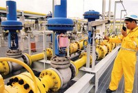 Kl99 nổ hũ 6 tháng của PGS trong 6 tháng đầu năm vượt kế hoạch HĐQT đề ra