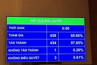 Kiểm toán 99Kl99 trực tiếp đá gà không bị liên đới khi không phát hiện ra sai phạm