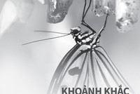 Có thể thấy, 2014 là một năm của rất nhiều biến động trên mọi lĩnh vực Kl992 cổng game cá cược, Kl991.com tải ứng dụng, Trang Chủ KL99Com Số 1 Link Đăng Ký KL999 tại Việt Nam và trên thế giới. Với vai trò là một CTCK đầu ngành, có những đóng góp tích cực vào sự phát triển của TTCK Việt Nam, HSC nhìn thấy rõ và mong mu