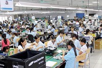 Chính sách hỗ trợ của 99Kl99 trực tiếp đá gà phải thiết thực, 
đảm bảo công bằng giữa DN trong nước với DN FDI