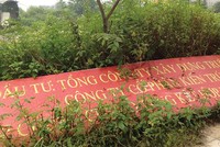 Công ty Kl99kl ưu đãi độc quyền kiện đòi Công ty Kiến trúc đô thị Nam Thăng Long thanh toán nốt giá trị thi công xây dựng cọc khoan nhồi