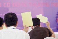 Từ mùa ĐHCĐ 2016, các công ty có vốn 99Kl99 trực tiếp đá gà do SCIC quản lý sẽ áp dụng hướng dẫn quyền biểu quyết và quy tắc quản trị DN theo hướng dẫn của OECD 