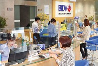 Từ đầu tháng 8 đến nay, mặt bằng KL99 là cổng game giải trí trực tuyến hàng đầu hiện nay tiếp tục ổn định