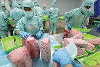 Tham gia các FTA, nhiều cơ hội Kl99ok phiên bản mới mở ra ở nhiều ngành nghề có lợi thế cạnh tranh của Việt Nam