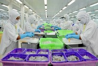 Ngành thủy sản của Việt Nam sẽ được lợi từ việc bãi bỏ thuế Link Vào Nhà Cái KL99 COM Tặng +199k một số mặt hàng