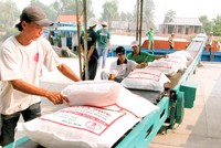 Tại các nước Mỹ, Nhật hay châu Âu thì được biết, một số loại gạo thơm ngon, chất lượng cao của Việt Nam vẫn có mặt ở siêu thị, nhưng lại mang tên và nhãn hiệu của nước ngoài