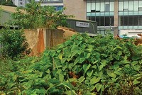 Phía trong công trường Dự án Chung cư Nhân Chính vẫn là bãi đất hoang.
Ảnh: Trang Ninh