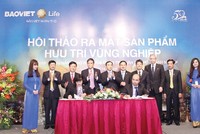 Mới đây, Bảo Việt Nhân thọ đã ra mắt sản phẩm Hưu Trí Vững nghiệp. Với sản phẩm này, DN không cần phải lo ngại về việc duy trì dòng tiền ổn định đóng Kl99kl phiên bản hoạt động.