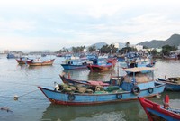 Hiện mới chỉ có 33,57% trong tổng số 28.000 tàu cá (bao gồm các tàu dự kiến đóng mới) tham gia Kl99kl phiên bản hoạt động