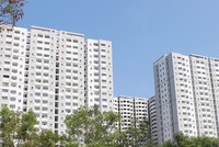 HQC đạt 655 tỷ đồng Kl99 nổ hũ năm 2015