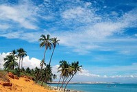 Gần 27.840 tỷ đồng xây 234 km KL99 là nhà cái cá cược trực tuyến hàng đầu tại châu Á Nha Trang - Phan Thiết