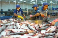 Mỹ giữ nguyên thuế chống bán phá giá cá tra Việt Nam