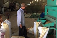 Kl994 nhà cái bóng đá world cup lúa giống hiện là nguồn thu duy nhất để Nông trường Sông Hậu trả lương cơ bản cán bộ công nhân viên duy trì hoạt động cầm chừng chờ chuyển đổi sang công ty TNHH một thành viên.