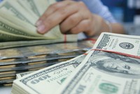 Việc kết hợp cách thức điều hành tỷ giá mới với cơ chế bán ngoại tệ kỳ hạn kế thừa được đánh giá là điểm mạnh của cơ chế tỷ giá