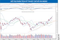 Nguồn: BVSC