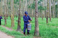 DPR ước đạt 56,8% kế hoạch Kl99 nổ hũ năm