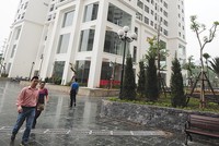 Rắc rối quyền quản lý Kl99kl ưu đãi độc quyền tại Dự án Thành phố giao lưu