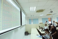 Công bố thông tin bằng tiếng Anh, tự nguyện hay ép buộc?
