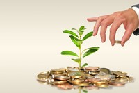 [interActive] Quản lý vốn 99Kl99 trực tiếp đá gà: Cần cuộc cách mạng về tư duy