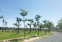 Khu đô thị Hà Phong hiện là khu đô thị có Kl99kl ưu đãi độc quyền hoàn chỉnh nhất tại khu vực Mê Linh. Ảnh: Q.H