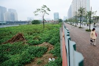 Dự án đất vàng của Nam Cường bị bỏ hoang thành “khu đô thị cỏ“